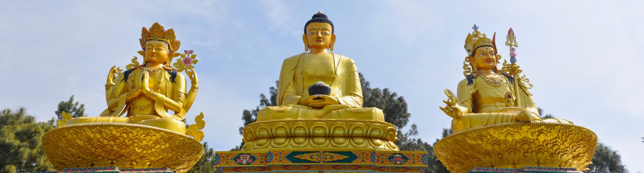 QUANTUM AWARENESS Where Science and the Buddha Meet